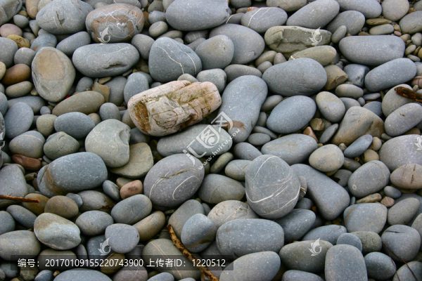 大光滑形狀的卵石-匯圖網(wǎng) www.fosd68.com 大光滑形狀的卵石