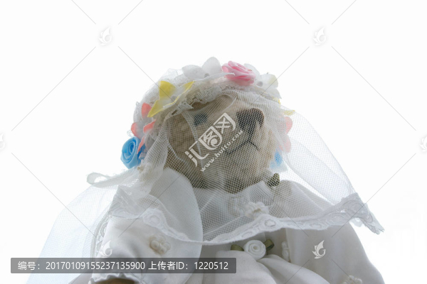 新娘泰迪