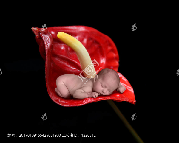 孩子睡在自然中