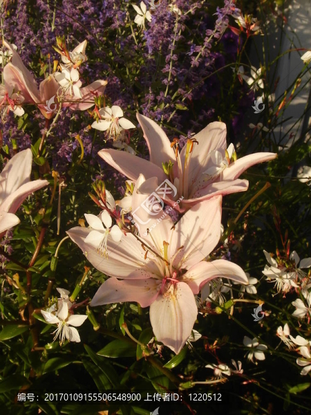 花