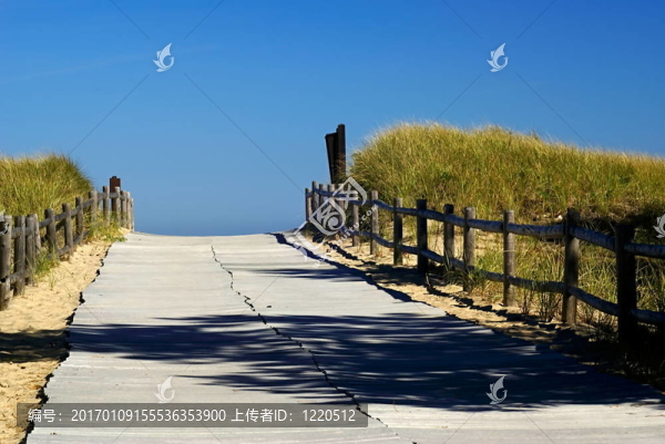 海洋之路