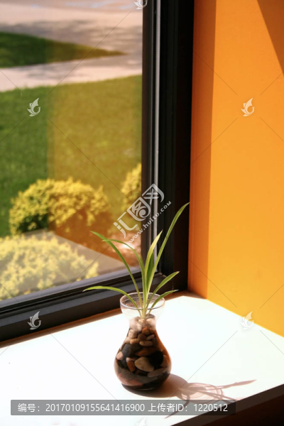 花瓶