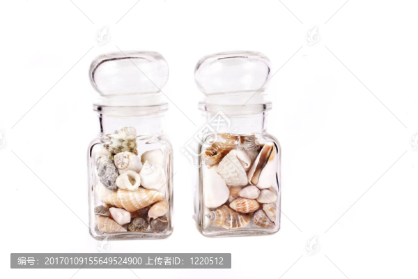 貝殼