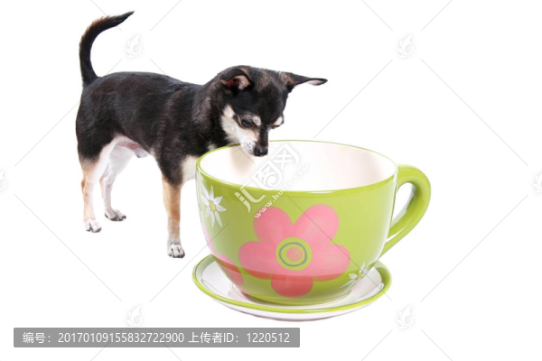 看著杯