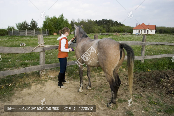 女孩和馬