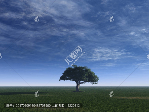 樹