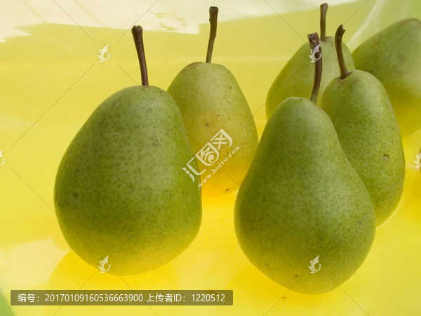 梨-匯圖網(wǎng) www.fosd68.com 梨