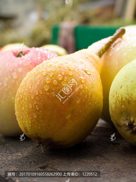 梨-匯圖網(wǎng) www.fosd68.com 梨