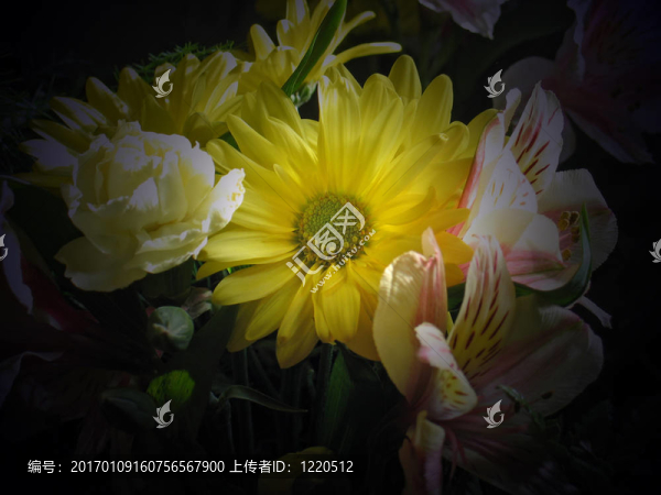 春之花束