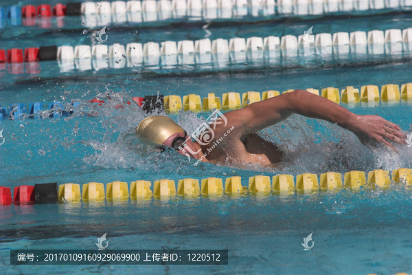 自由泳動(dòng)作