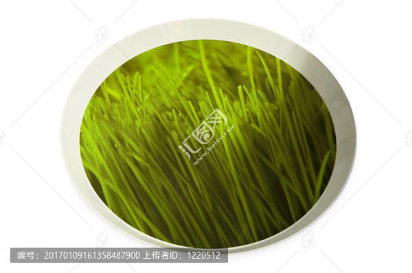 綠盤-匯圖網(wǎng) www.fosd68.com 綠盤