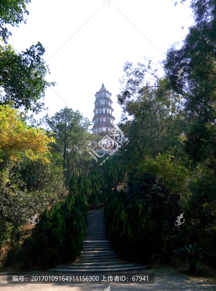 新會(huì)凌云塔全景