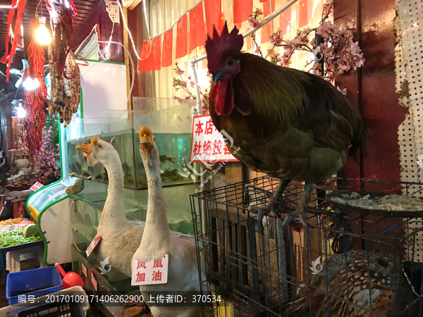 鳳凰古城