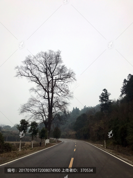 地筍苗寨