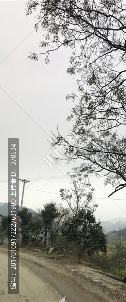 地筍苗寨