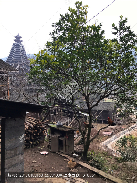 地筍苗寨