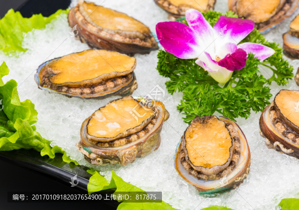 鮑魚