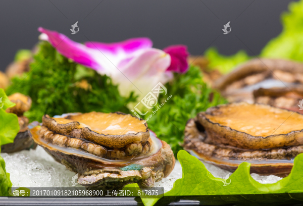 鮑魚
