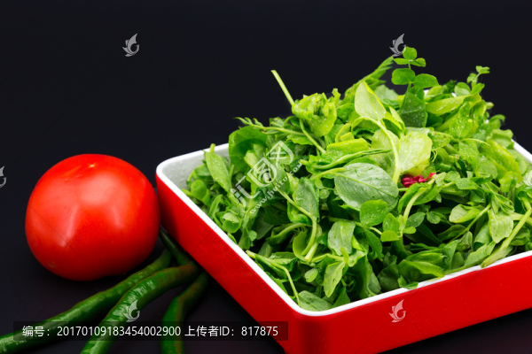 蔬菜