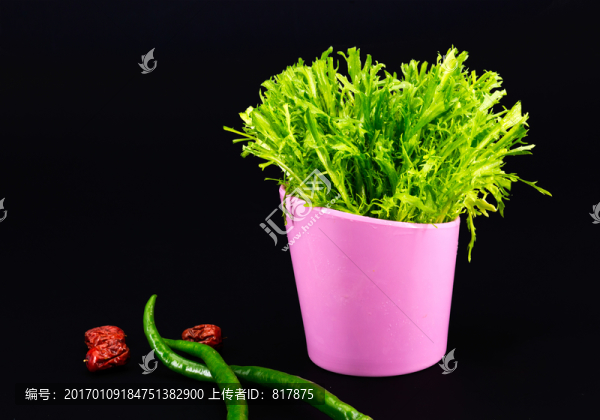 蔬菜