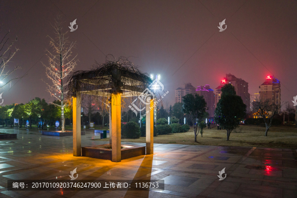 市民公園夜景