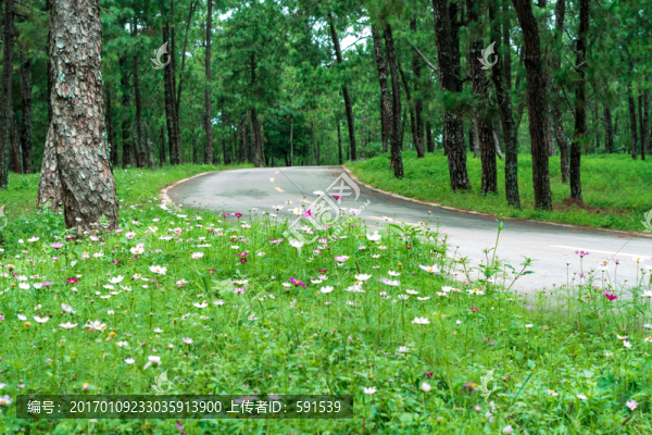諸葛營(yíng)遺址