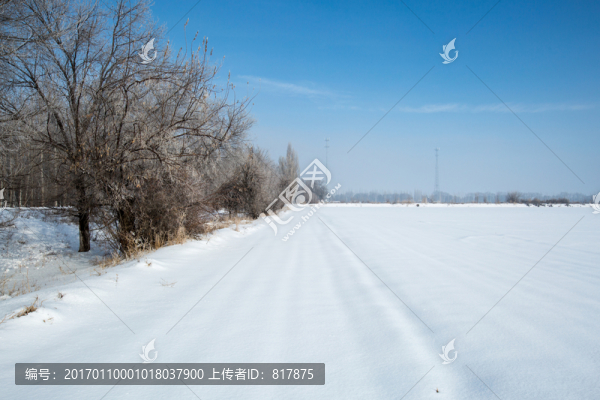 雪地農(nóng)田