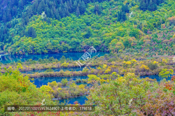 樹正群海,九寨溝