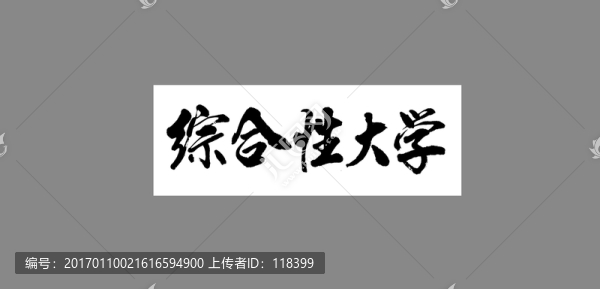 綜合性大學(xué)