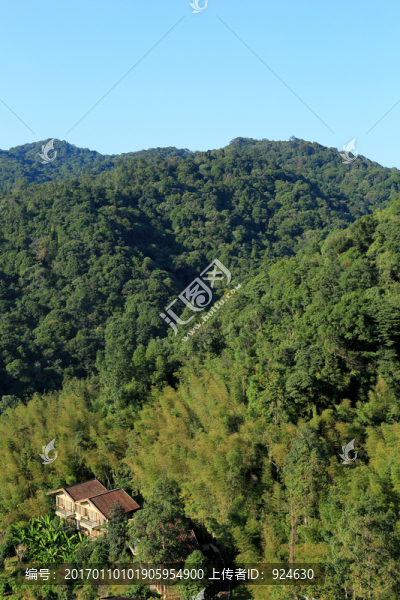 南昆山山林隱居