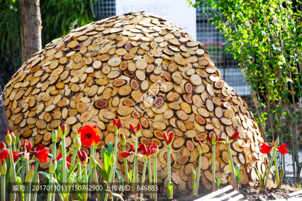 裝飾,樹皮,松樹