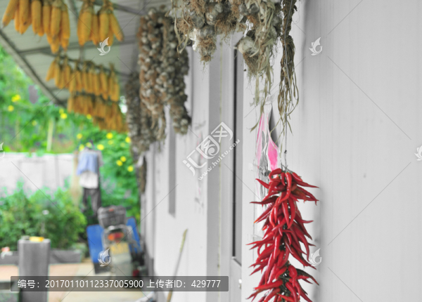 農(nóng)家樂,鄉(xiāng)村旅游,旅游名鎮(zhèn)