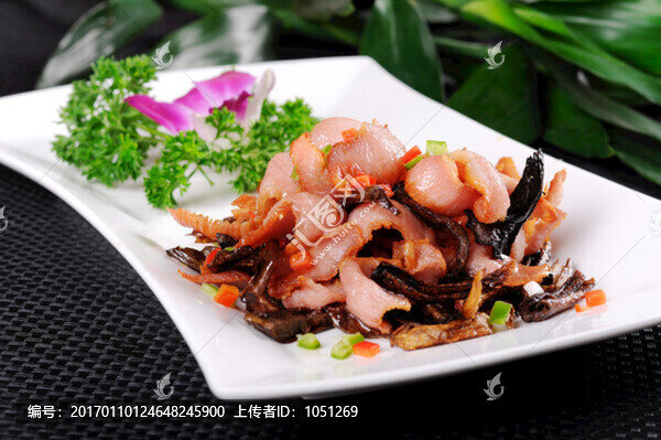 菌類松板肉