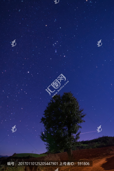 紅土地大樹星空夜景