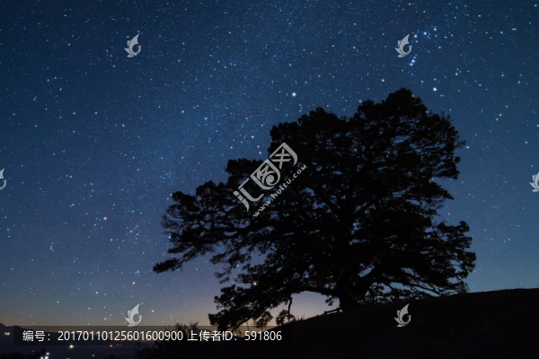 紅土地神樹星空夜景