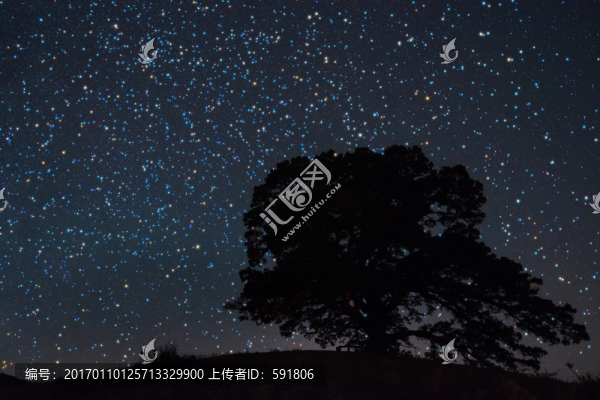 紅土地老龍樹星空夜景