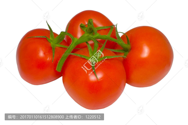 西紅柿
