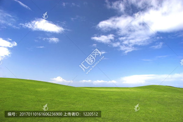 綠色的田野