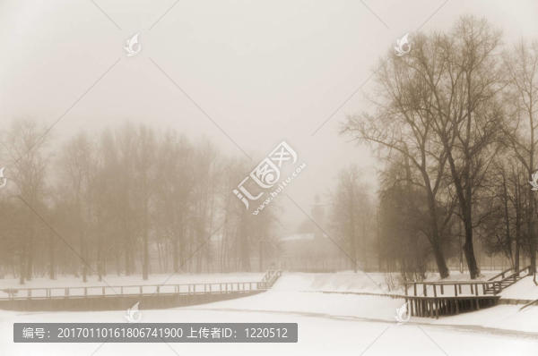 朦朧的冬景
