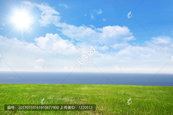 陽光明媚的一天