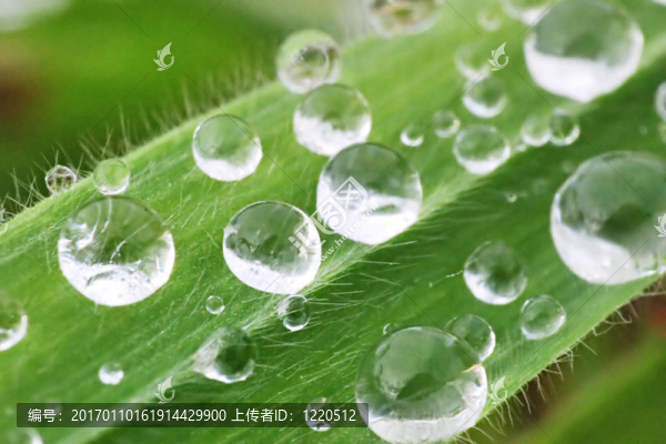 水滴