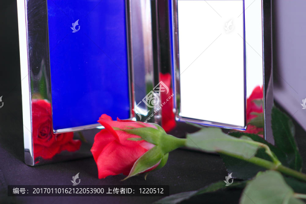 銀色框架和紅色玫瑰
