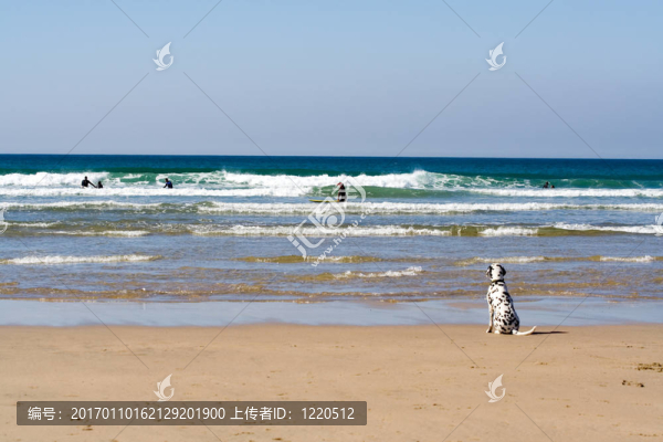 看海浪