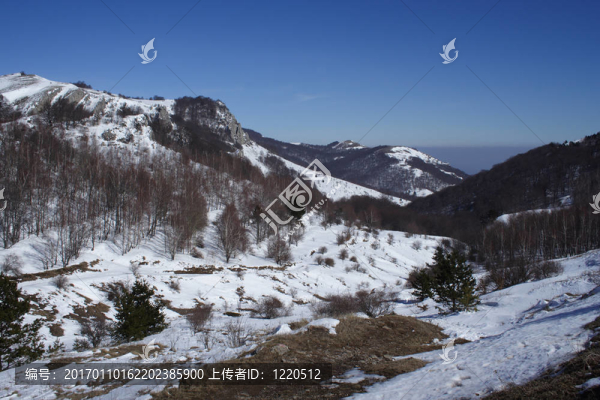 山雪-匯圖網(wǎng) www.fosd68.com 山雪