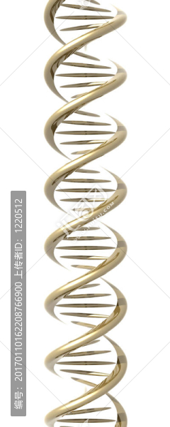 程式化的DNA雙螺旋