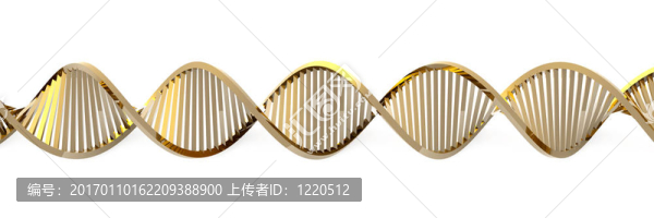 金色的DNA螺旋