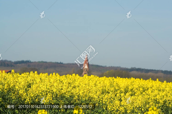 說唱
