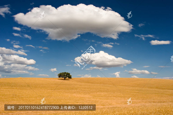 夏天的場(chǎng)景-匯圖網(wǎng) www.fosd68.com 夏天的場(chǎng)景