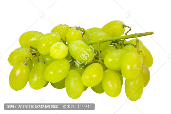一串白葡萄