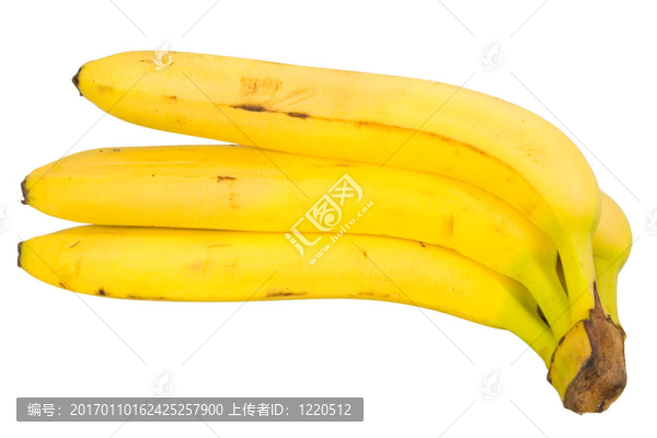 香蕉束-匯圖網(wǎng) www.fosd68.com 香蕉束